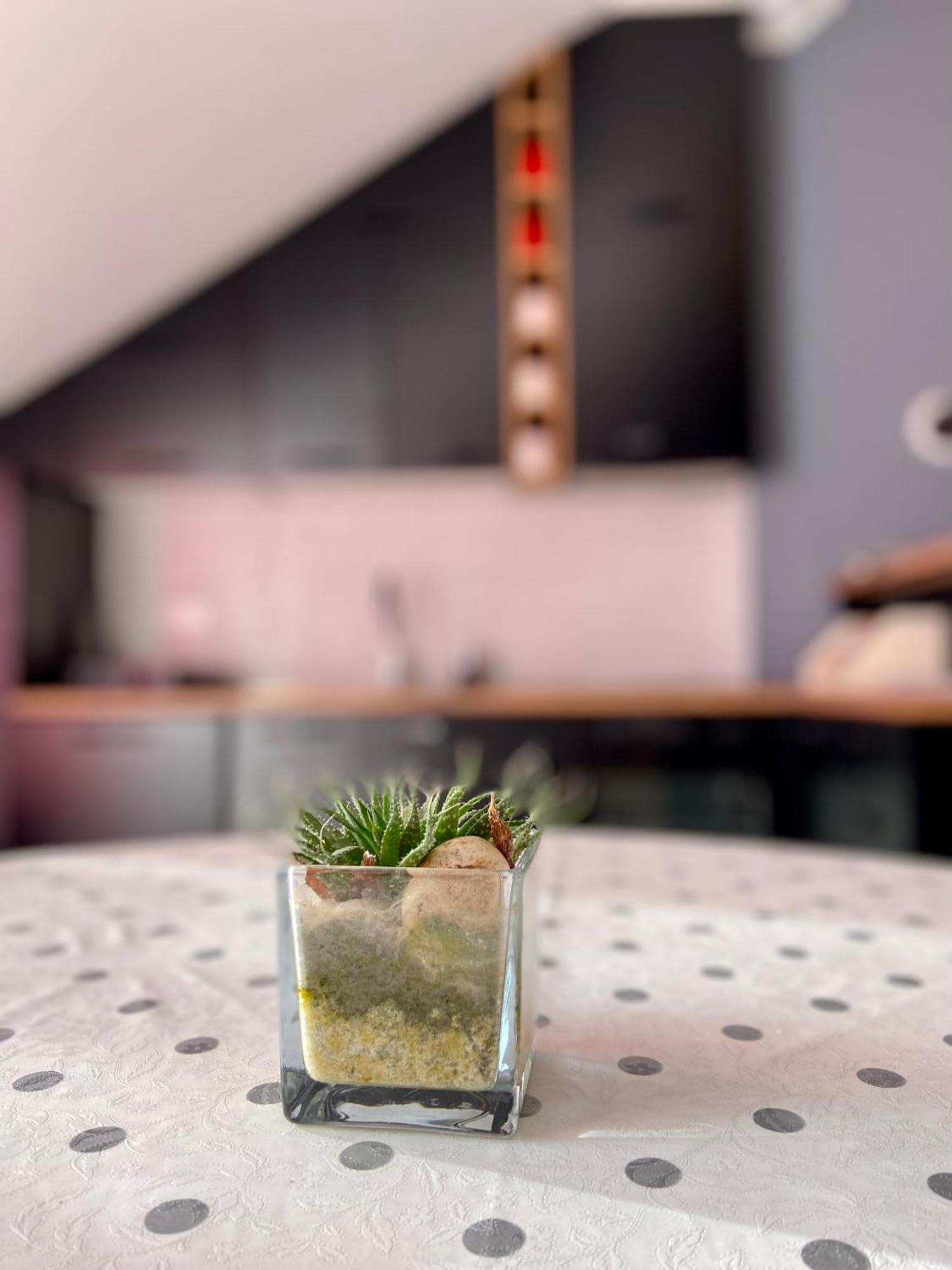 Banicevic Apartmani Ðenovići 外观 照片